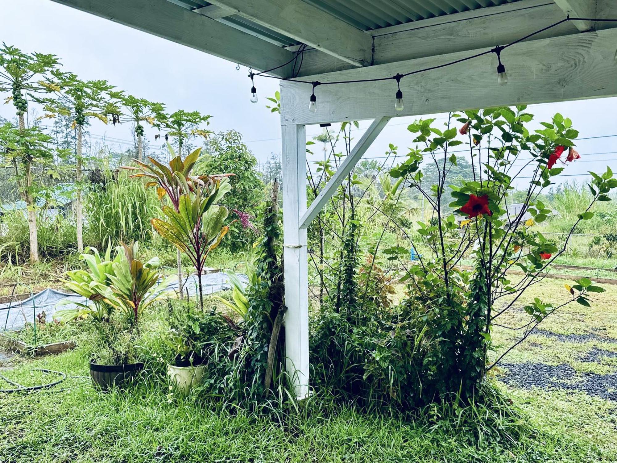Kope Hale Farm House Near Hilo & Volcano National Park Pahoa Exterior photo